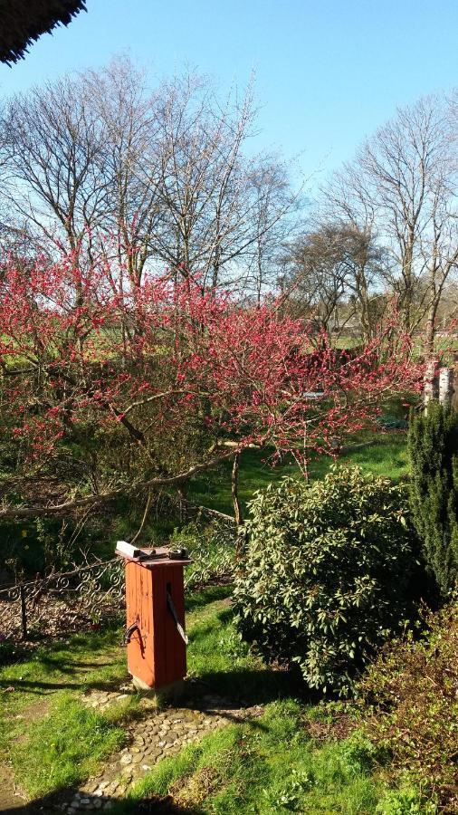 De Geheime Tuin - Uitzicht Bed & Breakfast Epe Exterior photo